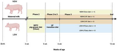 Effect of High-Fat and Low-Fat Dairy Products on Cardiometabolic Risk Factors and Immune Function in a Low Birthweight Swine Model of Diet-Induced Insulin Resistance